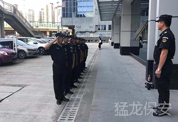 荔枝视频污下载培训